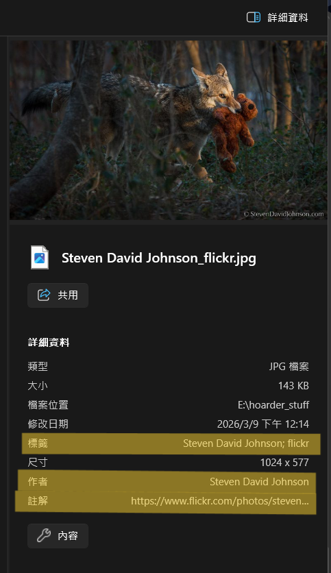 檔案管理員中預覽檔案屬性