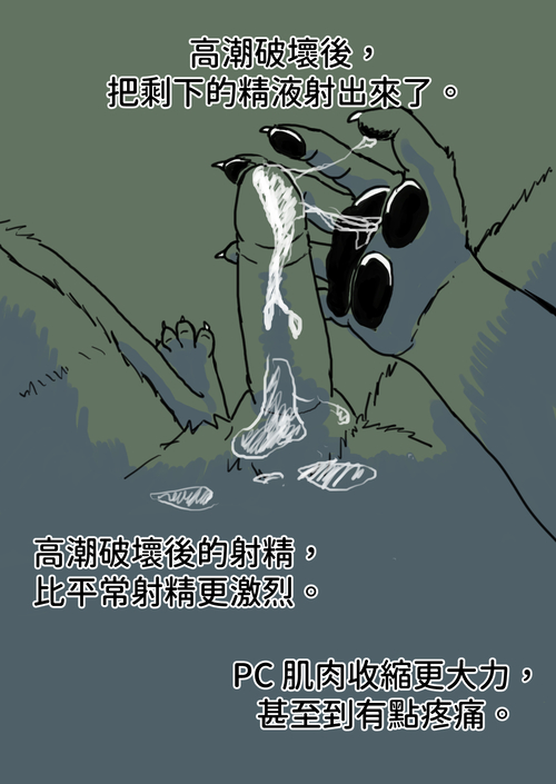 高潮破壞紀錄_011